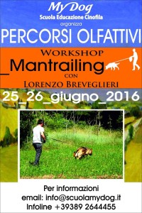 25-26 giugno