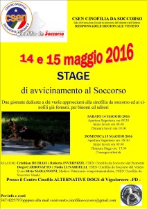 VOLANTINO STAGE