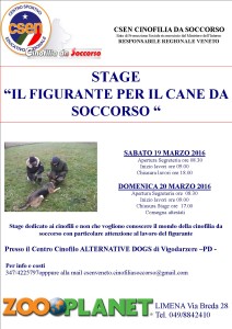 VOLANTINO figuranti