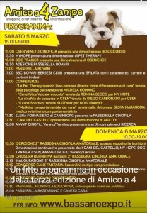 bassano a 4 zampe